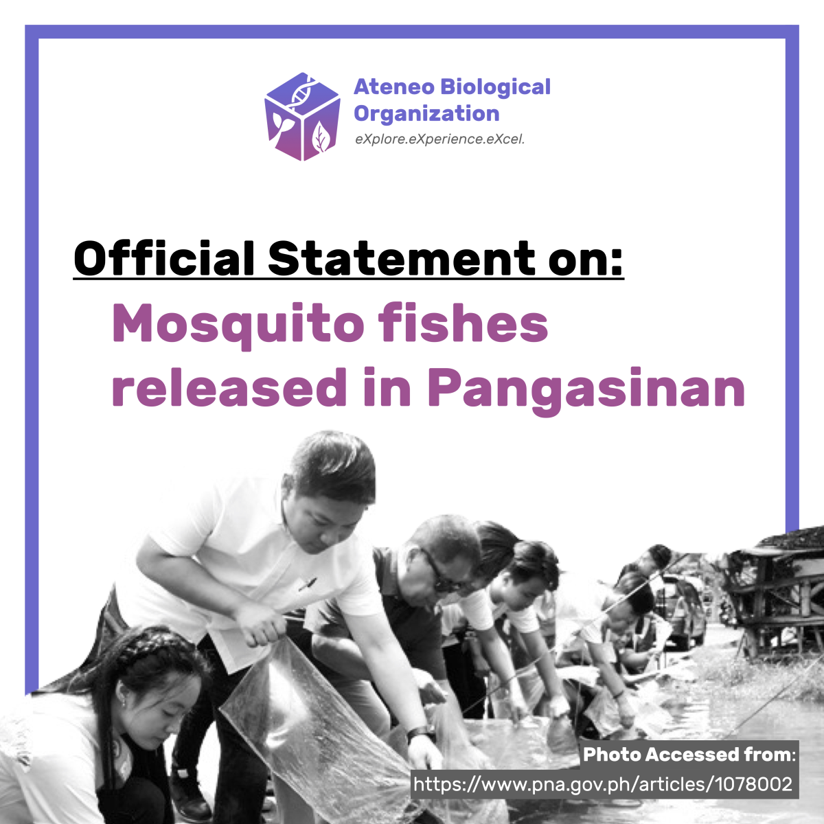 Official Statement on: Mosquito fishes released in Pangasinan