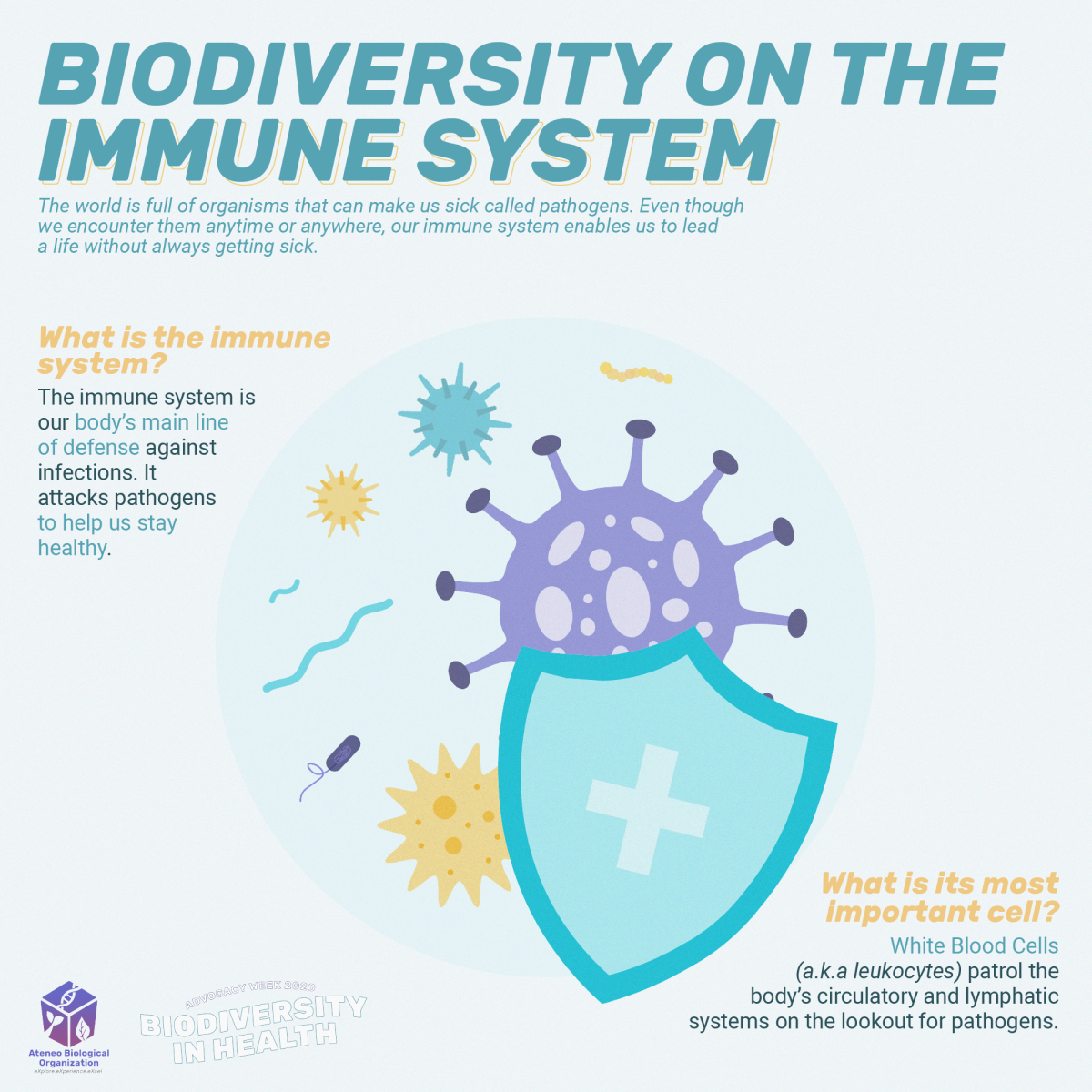 Biodiversity on the Immune System